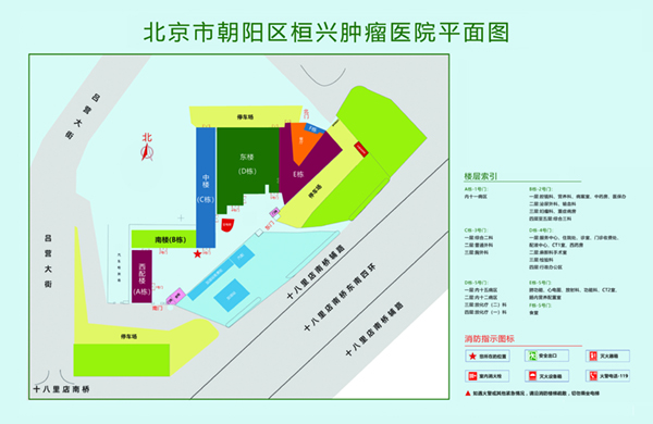 日逼视频播放器北京市朝阳区桓兴肿瘤医院平面图